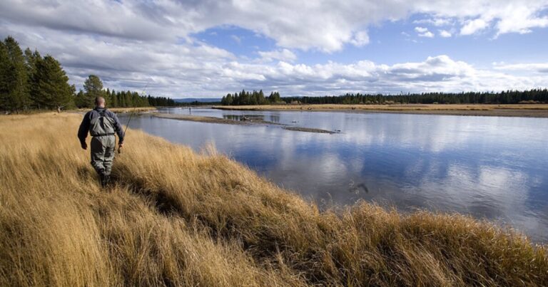 Lower Gallatin Watershed Designated As Key Focus Area By Montana