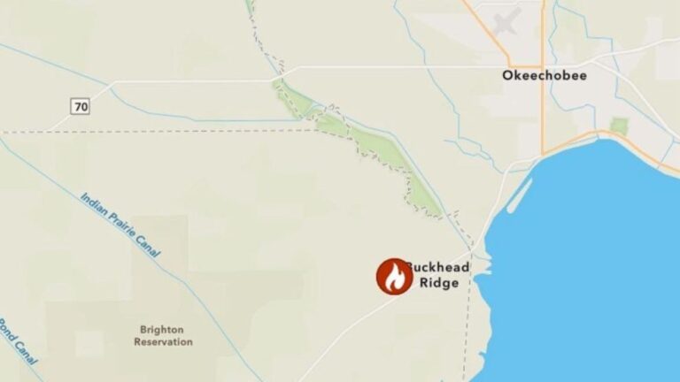 Controlled Burn Planned For Lake Okeechobee Watershed Restoration With Anticipated