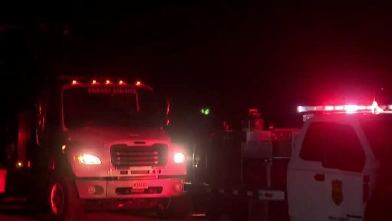 Palm Bay Wildfire Under Control After Prompting Evacuations