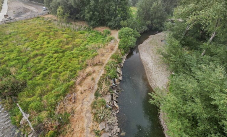 Reviving History: Restoring Old Cars And Clearing Debris From The