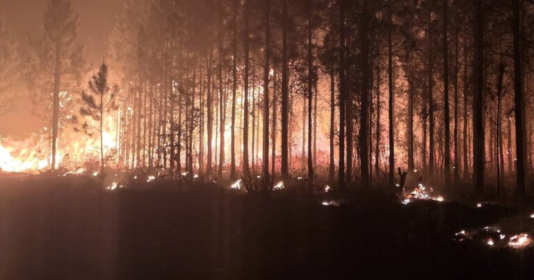 Wildfire Engulfs 500 Acres And Poses Risk To Nassau County