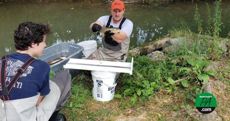 Bucknell Student Research Influences Milton Stream Restoration Efforts Bucknell Student Research Influences Milton Stream Restoration Efforts