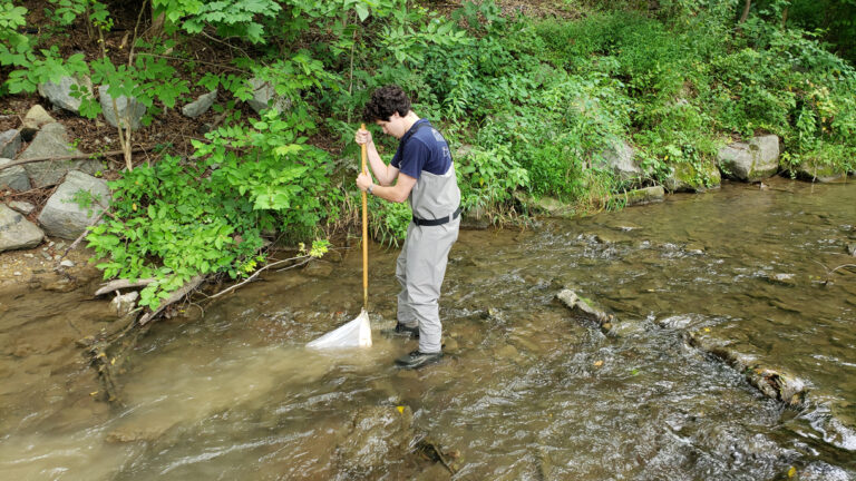 Bucknell Student Research Influences Stream Restoration Efforts in Milton Bucknell Student Research Influences Stream Restoration Efforts In Milton
