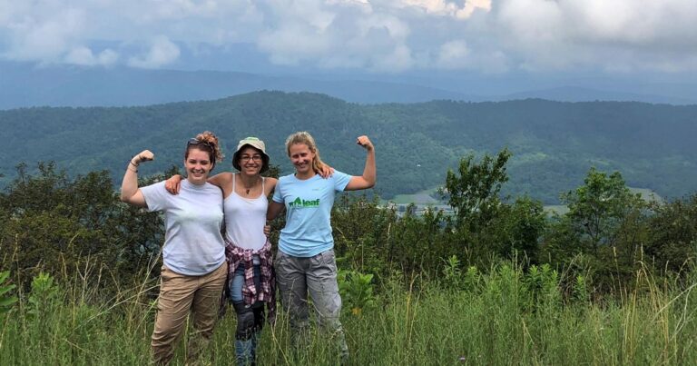 Discover Volunteer Opportunities with The Nature Conservancy in Virginia Discover Volunteer Opportunities With The Nature Conservancy In Virginia