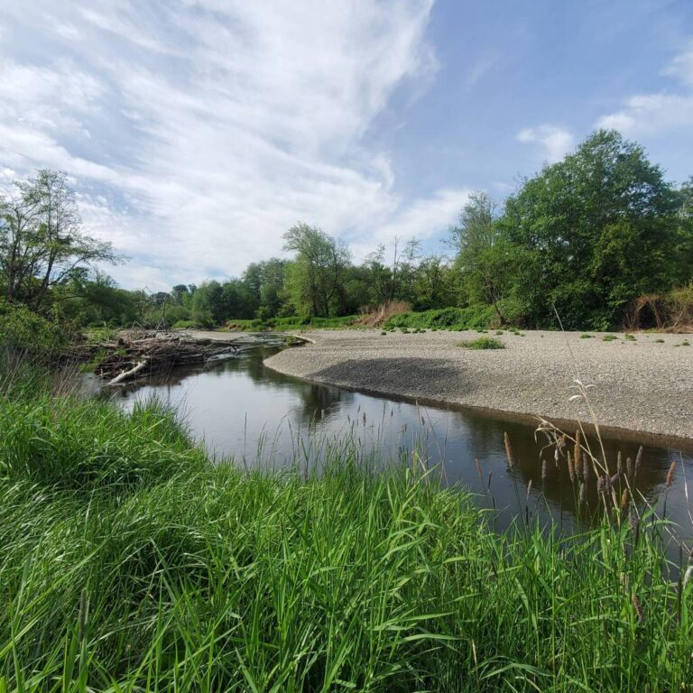 Evaluating Future Stream Restoration Opportunities in the Cloquallum Watershed Evaluating Future Stream Restoration Opportunities In The Cloquallum Watershed