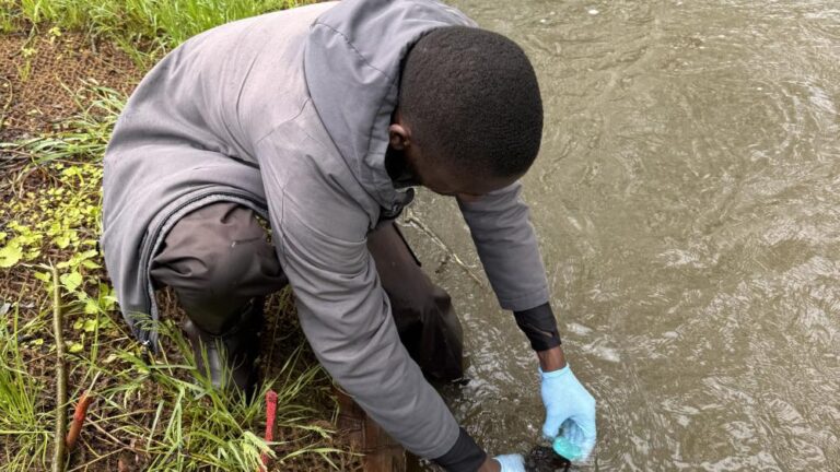 Funding for Innovative Research on PFAS in Small Watersheds Funding For Innovative Research On Pfas In Small Watersheds