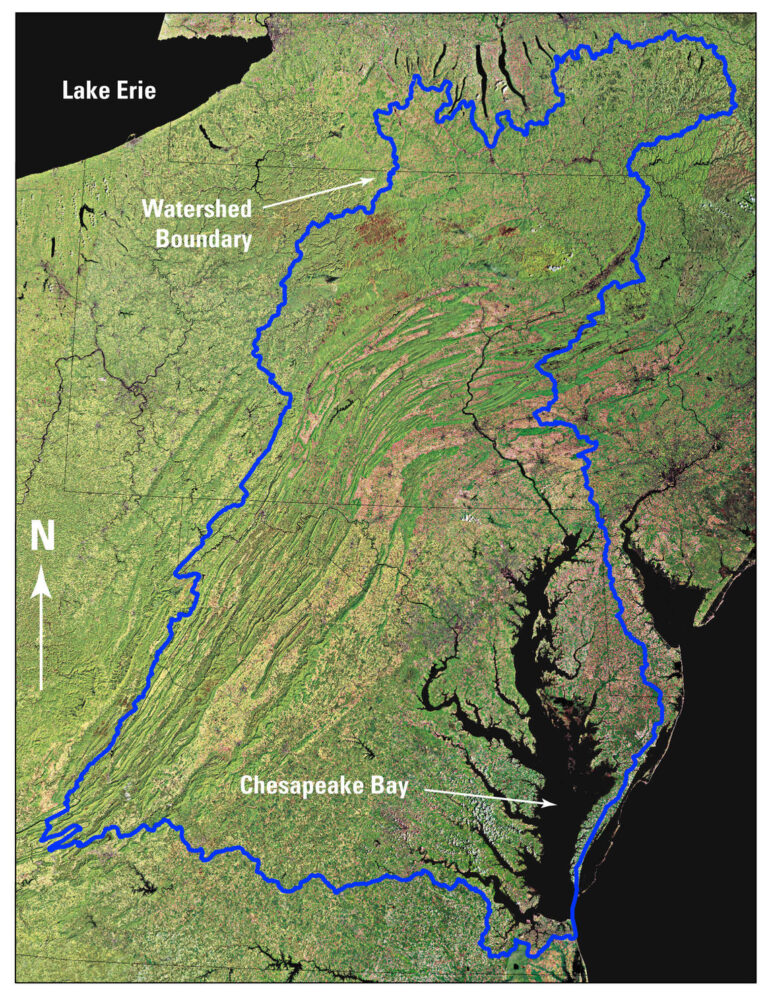 Impact Of Pollutants On Chesapeake Bay's Fish And Wildlife