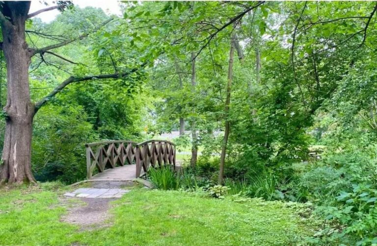 Winchester Select Board Greenlights Aberjona River Restoration Project