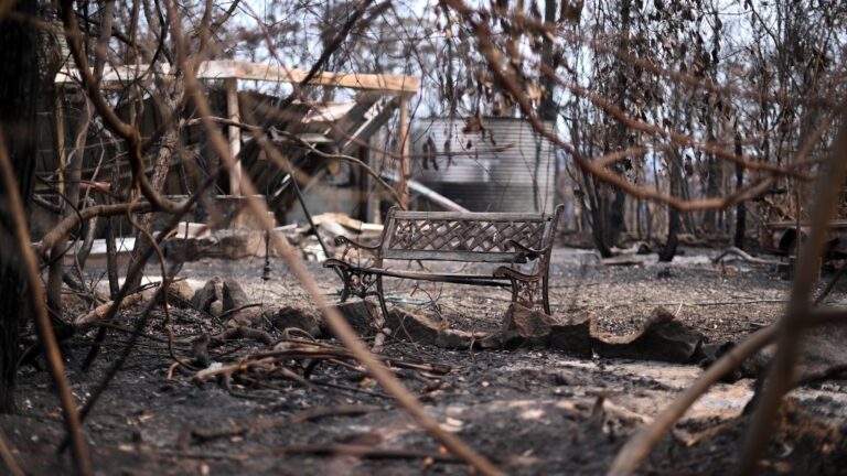 Climate Change Drives Surge In Disasters Since 2000, Says Un