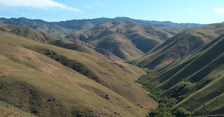 Exploring The Dry Creek Experimental Watershed: A Journey Into Environmental