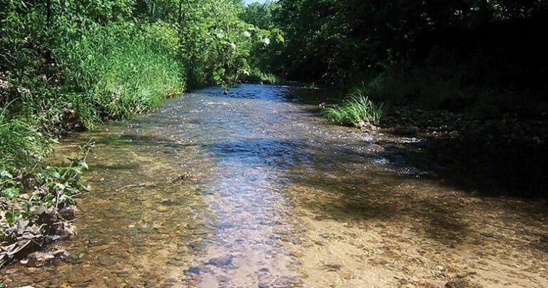 Labarque Creek Watershed: A Priority For Conservation And Recreation