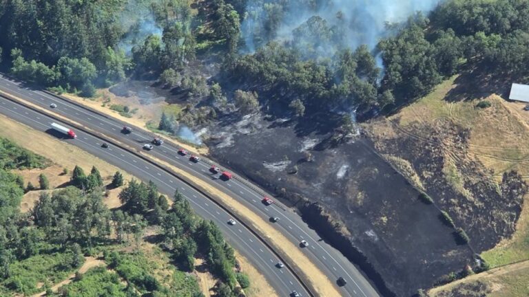 Massive Wildfire Erupts Near I-5 in Oakland’s Turkey Hill Area Massive Wildfire Erupts Near I 5 In Oakland's Turkey Hill Area