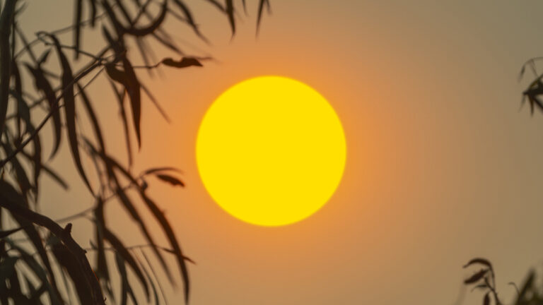 Nearly One Third Of Americans At Risk Of Severe Heat And