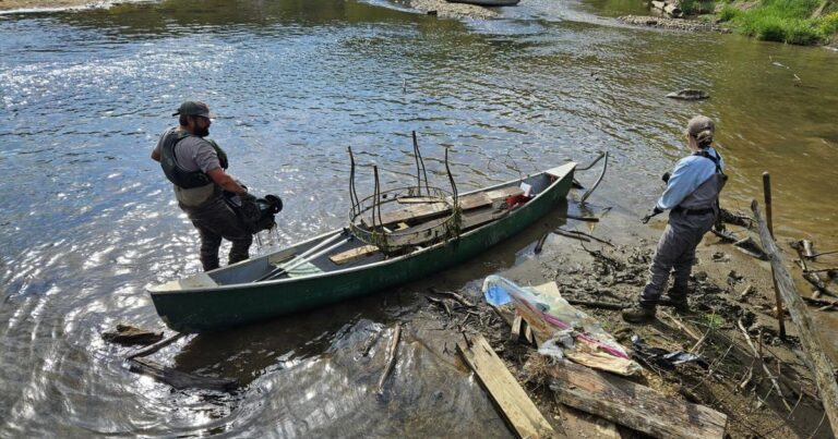Revitalizing Nature: A New Chapter In River Restoration