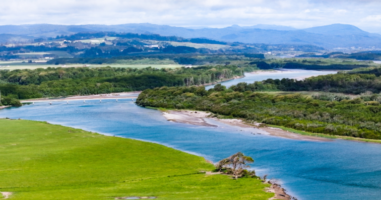 Significant Progress In Cannibal Island Restoration Through New Funding