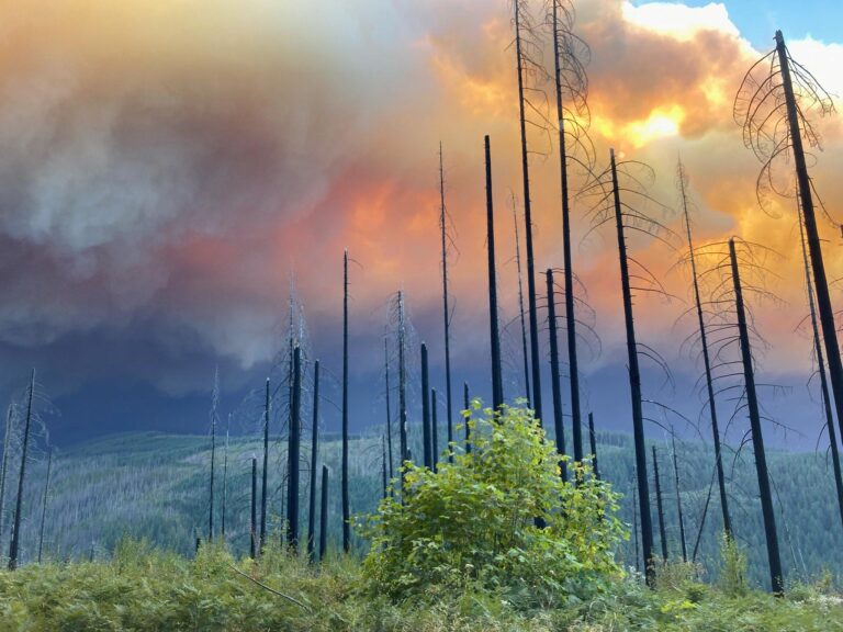Western Cascades Watershed Faces Increased Fire Risks Western Cascades Watershed Faces Increased Fire Risks
