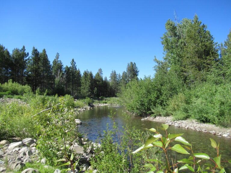 Coldstream Canyon Floodplain Restoration Project Set for Completion This Fall Coldstream Canyon Floodplain Restoration Project Set For Completion This Fall
