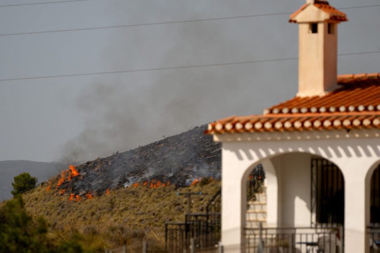 Firefighters Unite Against Devastating Wildfire in Southern Spain, 12 Lives Lost Firefighters Unite Against Devastating Wildfire In Southern Spain, 12 Lives