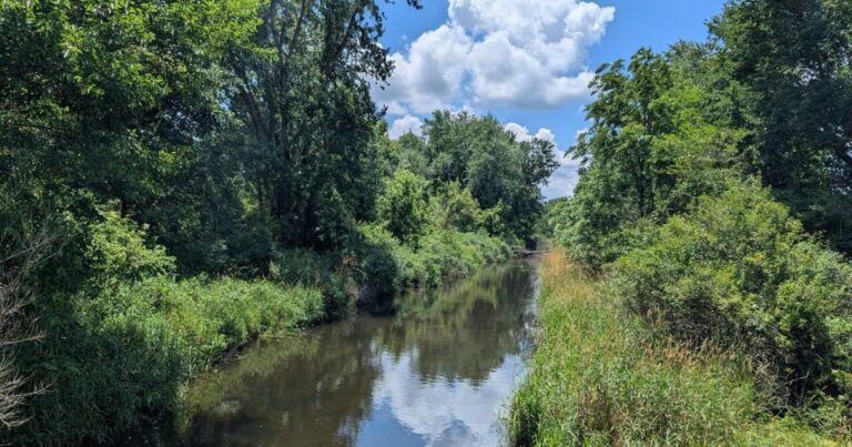 Kankakee Watershed Revival in Northwest Indiana Kankakee Watershed Revival In Northwest Indiana