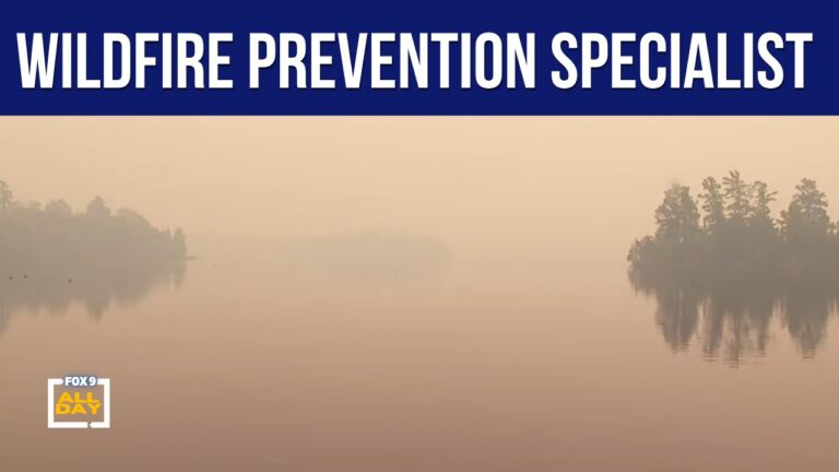 Northern Mn Wildfire Prevention Insights From Experts At Fox 9