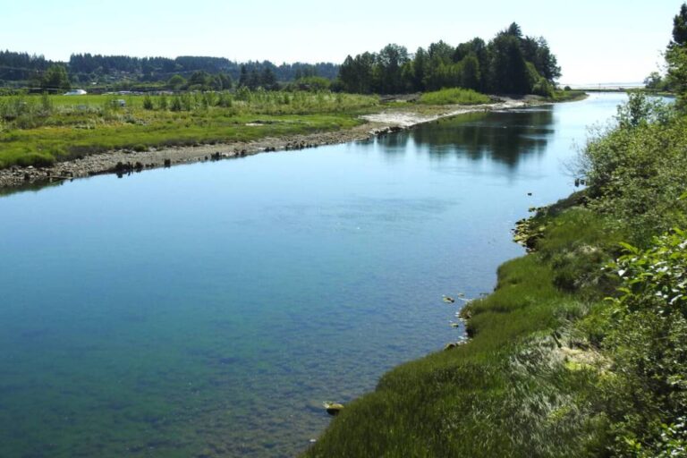 Project Watershed To Showcase Restoration Efforts, Research, And Community Engagement