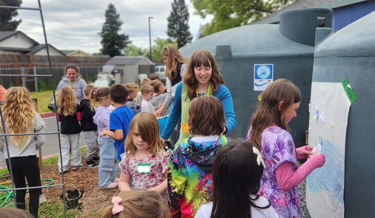 Rain Barrels: A Sustainable Solution For Water Conservation
