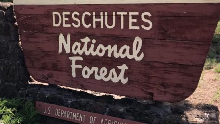Reducing Wildfire Risk: 212 Acres Treated in Deschutes National Forest Near Two Rivers North Reducing Wildfire Risk: 212 Acres Treated In Deschutes National Forest