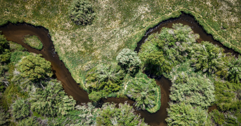 Revitalizing Lower Mammoth Creek: A Community Driven Restoration Vision