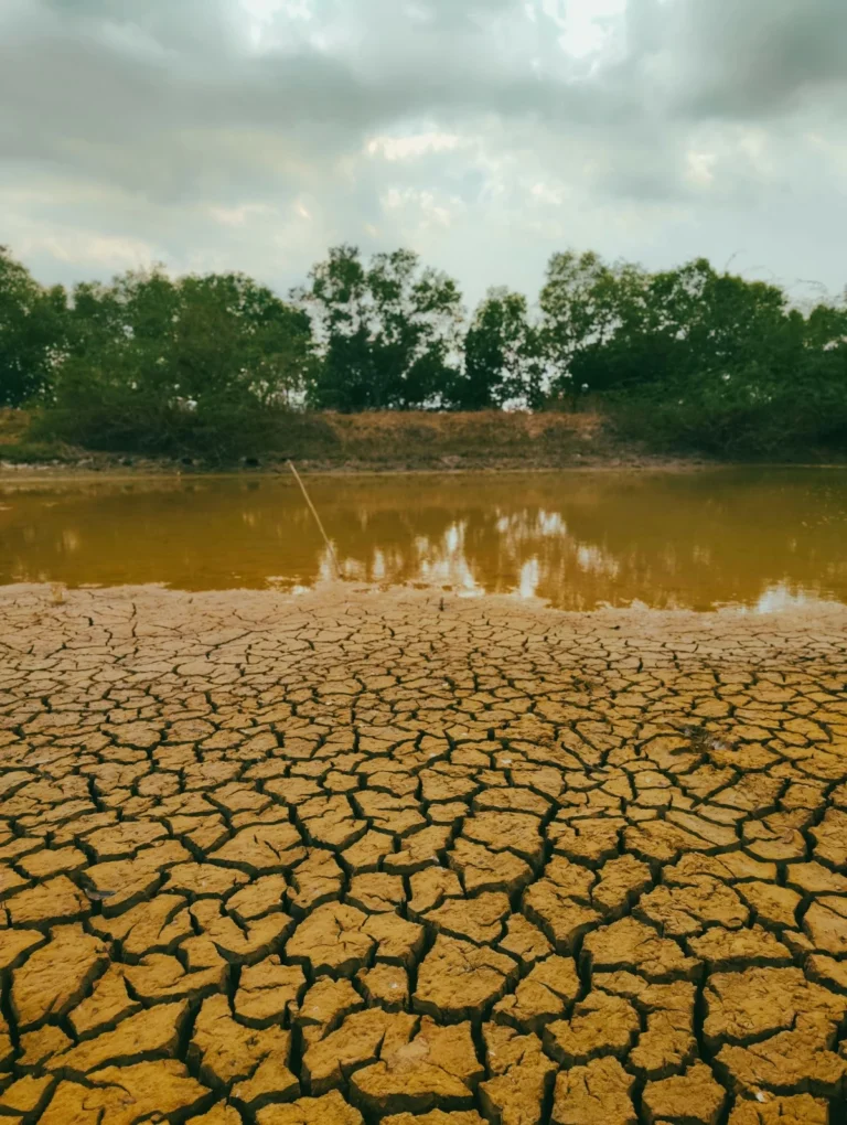 Understanding The Challenges Of The New El Niño Cycle
