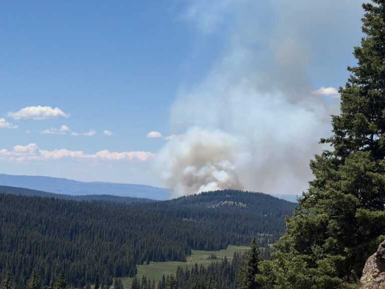 Wildfires Break Out In Routt County: 8 Acre Blaze Near Rabbit