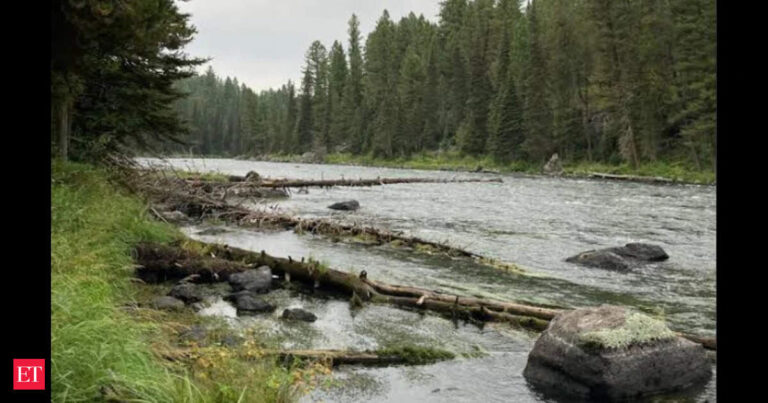 A River Rejuvenated: From Bacteria-Impaired to Restored in 14 Years A River Rejuvenated: From Bacteria Impaired To Restored In 14 Years