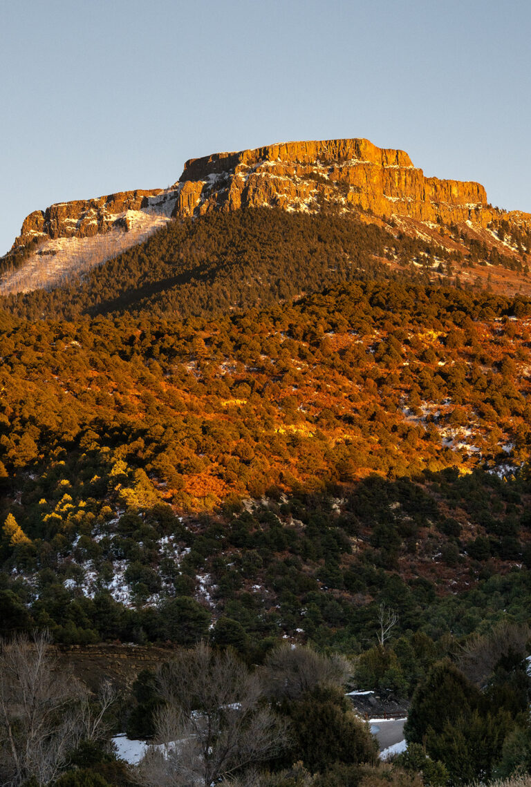 Colorado Voters to Decide on Redirecting Sports Tax for Conservation and Wildfire Recovery Colorado Voters To Decide On Redirecting Sports Tax For Conservation
