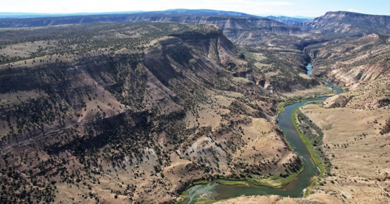Colorado West Land Trust Unveils Exciting Restoration Plan for North Fork Watershed Project Colorado West Land Trust Unveils Exciting Restoration Plan For North
