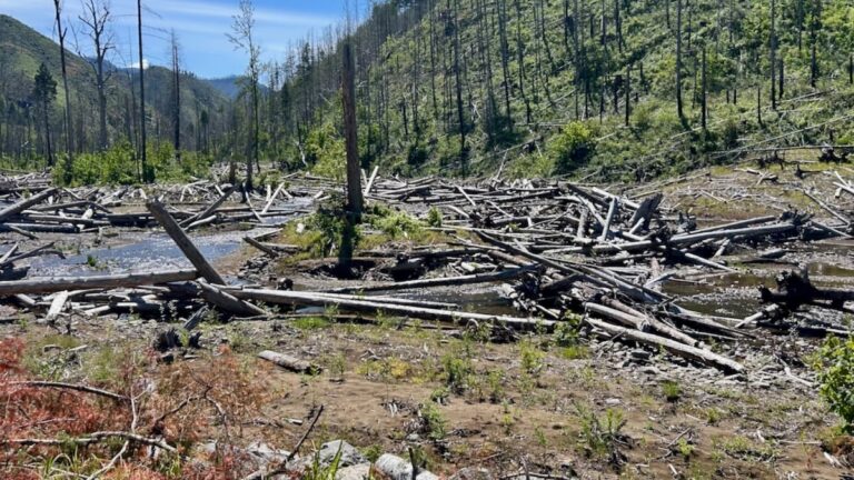 Eugene Water Board Investigates Possible Fund Impact Amid Embezzlement Claims by McKenzie Watershed Alliance Eugene Water Board Investigates Possible Fund Impact Amid Embezzlement Claims