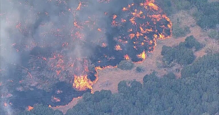 Massive Wildfire Engulfs 80,000 Acres in North Texas, Prompting Evacuations and School Closures Massive Wildfire Engulfs 80,000 Acres In North Texas, Prompting Evacuations