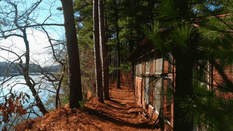 St. Croix Watershed Research Station Launches Summer 2018 Artist And