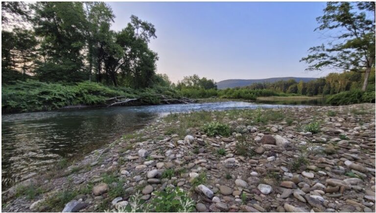 Applications Open for Mini-Grants to Enhance Streams and Watersheds in the Susquehanna River Basin Applications Open For Mini Grants To Enhance Streams And Watersheds In