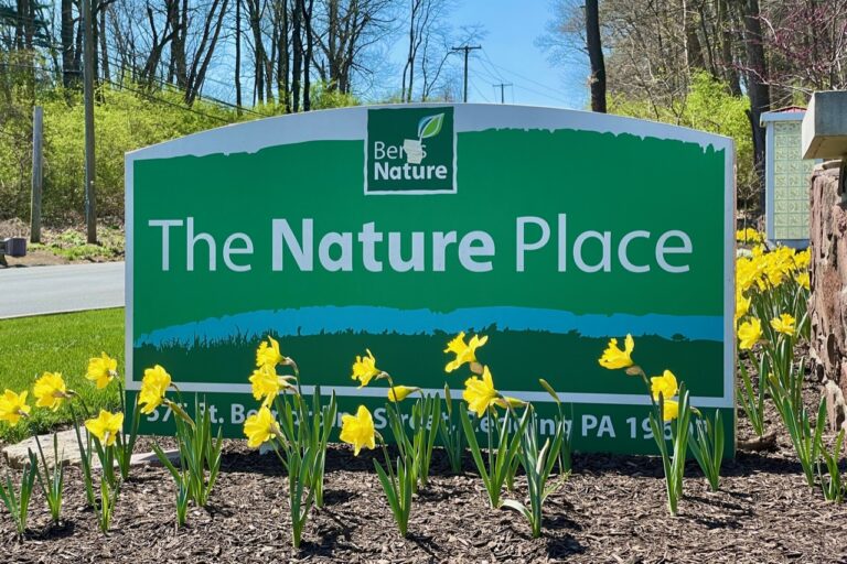 Berks Nature Secures $190,000 for Water Quality and Stream Enhancement Initiatives Berks Nature Secures $190,000 For Water Quality And Stream Enhancement