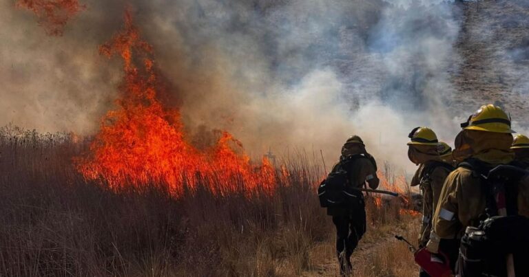 Cal Fire Secures $10 Million Grant To Revitalize Siskiyou County