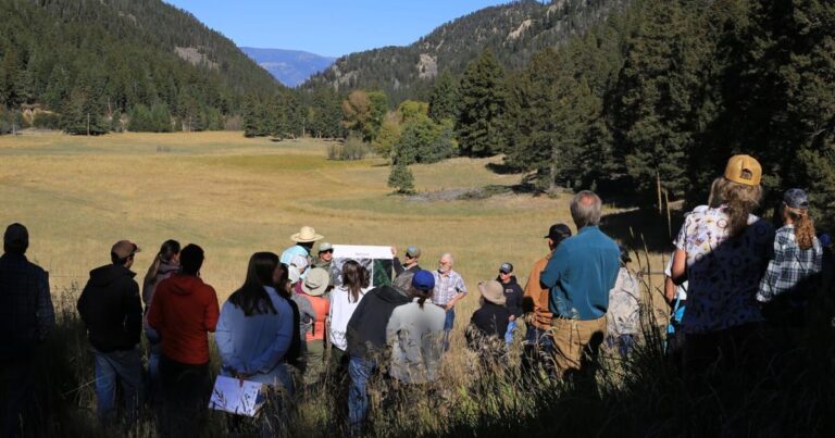 Discover Local Restoration Efforts In Shields Valley With Watershed Tour