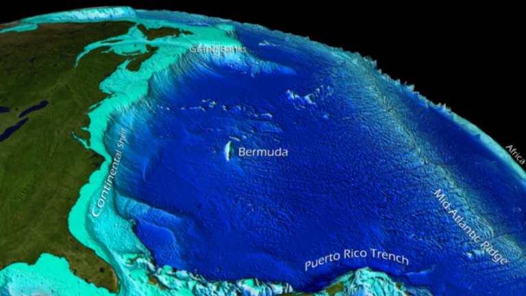 Discovering the Wonders of Ocean Floor Features Discovering The Wonders Of Ocean Floor Features