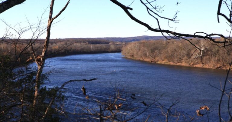 Environmental Groups Prepare For Impact Post Trump's Chesapeake Bay Rule Revocation
