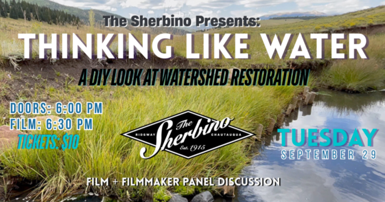 Flowing Towards Restoration: A Diy Guide To Watershed Healing