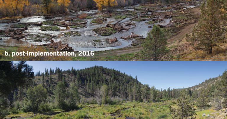 Watershed Restoration: A Key Strategy In Wildfire Prevention