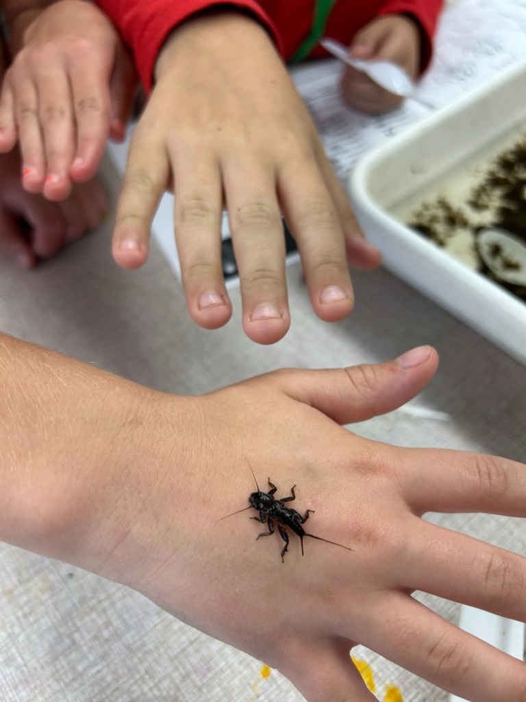 A Fourth Grader’s Journey: Exploring Lake Champlain with Sea Grant Insights A Fourth Grader's Journey: Exploring Lake Champlain With Sea Grant