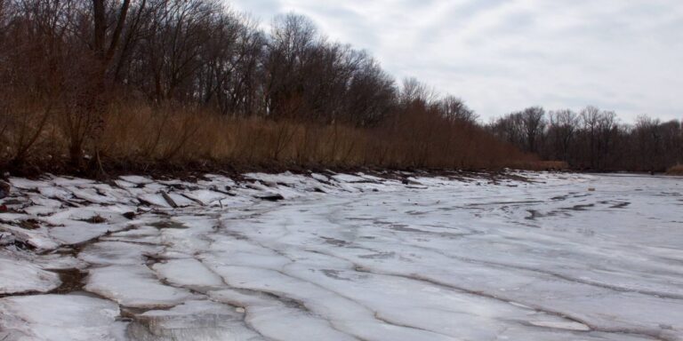 Local Scientists Discover Microplastics in Delaware River and Urge for Regulatory Action Local Scientists Discover Microplastics In Delaware River And Urge For