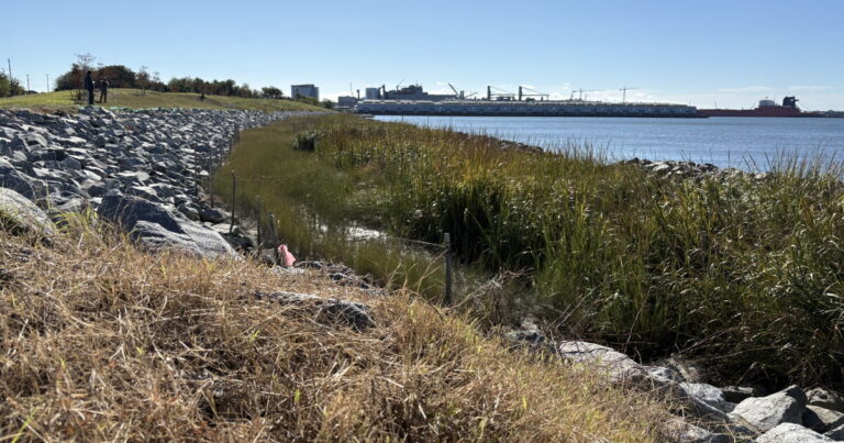 Norfolk Southern Completes Elizabeth River Shoreline Restoration Project Norfolk Southern Completes Elizabeth River Shoreline Restoration Project