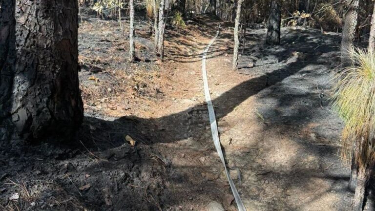 Wildfire at Oak Mountain State Park Nears Full Containment Wildfire At Oak Mountain State Park Nears Full Containment